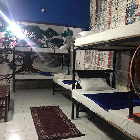 Brisbane Lodge & Hostel Kochi Luaran gambar