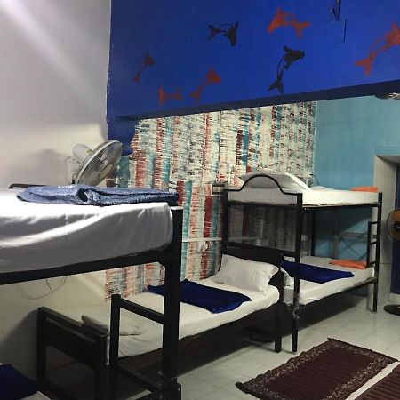 Brisbane Lodge & Hostel Kochi Luaran gambar